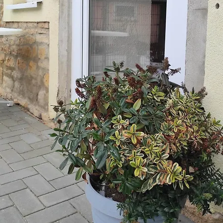 Apartment Gessert *