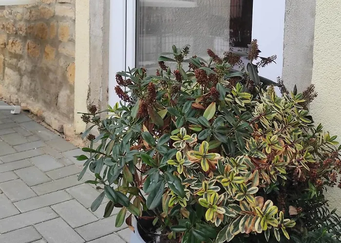 Appartement Gessert *